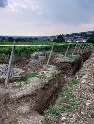 Los trabajos de excavación se reanudaron en el pasado verano (Comune di Negrar di Valpolicella)