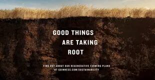 Guinness presentó el programa bajo el concepto de agricultura regenerativa con el lema "las cosas buenas echan raíces" (Crédito: Cervecería Guinness)