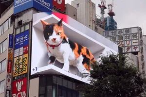 Un felino virtual irrumpe en un enorme pantalla 4K en Tokio