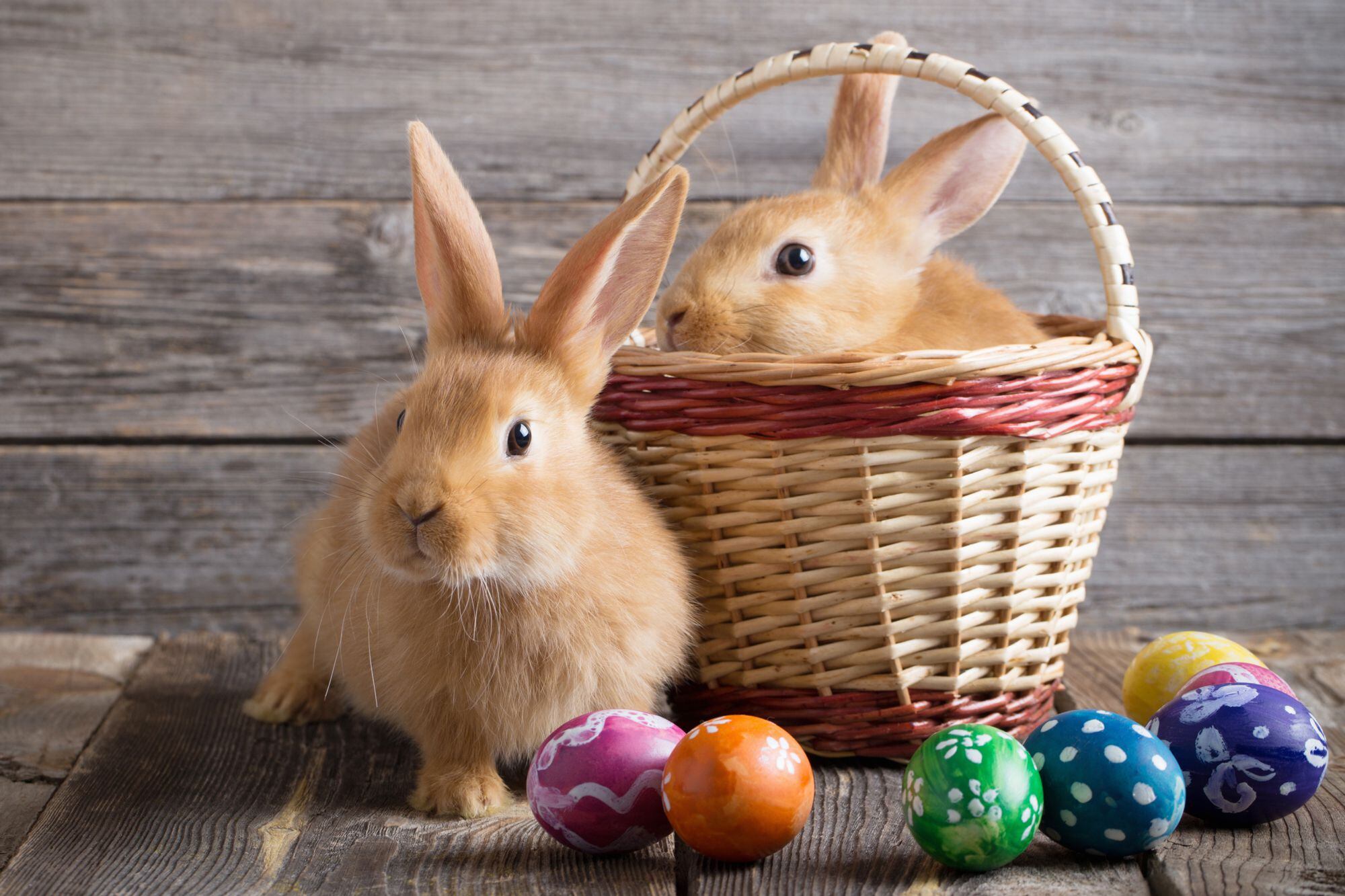 Los conejos y los huevos son algunas de las figuras de las Pascuas