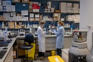 Trabajadores de laboratorio prueban la vacuna Astrazeneca en Oxford, Inglaterra, el 20 de noviembre de 2020