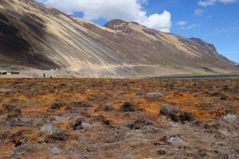 Bofedal sobre la ciudad andina de Carampoma