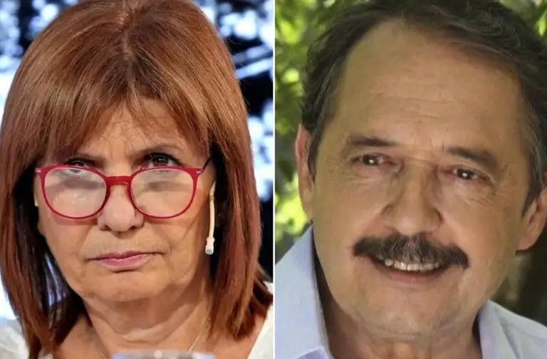 Elecciones 2023 |  Patricia Bullrich critica a Ricardo Alfonsín por llamar a votar por Massa