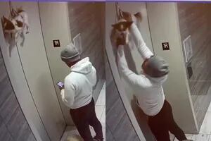 Esperaba el ascensor, vio un perro colgado de la puerta y su rápida reacción le salvó la vida