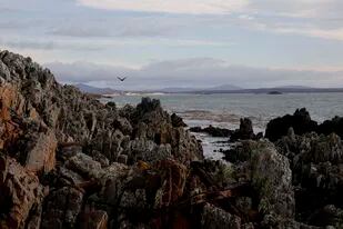 Tras el rastro de la huella indígena en las Malvinas: las revelaciones de un nuevo estudio