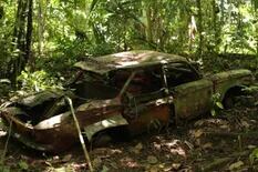 El "Tapón del Darién", la peligrosa selva que pudo ser atravesada una sola vez
