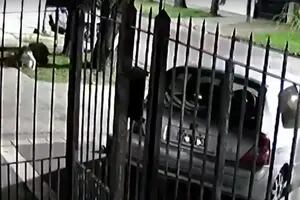 Video. El intento de asalto a una mujer y su pequeño hijo en Temperley
