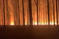 “Resisten solos”: la queja de un productor mientras el fuego devora miles de hectáreas