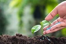 Fertilización: hacia una producción cada vez más sustentable