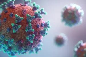 Qué pasa con la subvariante de coronavirus XBB.1.5, que se propaga rápidamente en EE.UU.