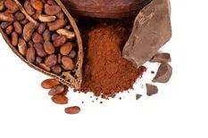 Día Mundial del Cacao, ¿cuáles son los beneficios de este fruto?
