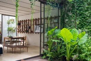 El cantero con plantas de estilo tropical, como alocasias, acantos y salvias, dan una abundante vista verde desde el interior.
