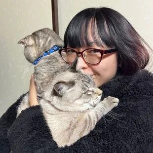 La falta de espacio en Japón llevó a Sumirê Shimizu a cambiar los perros por los gatos