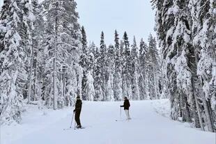 En Suecia, en diciembre los días son muy cortos y en el norte el sol ni siquiera sale; febrero suele ser más frío que diciembre, pero los días comienzan a alargarse con bastante claridad.