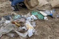 Se usan 12 minutos y tardan décadas en degradarse, el impacto de las bolsas de plástico