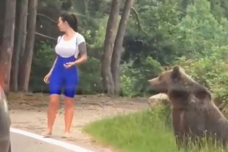 Un oso se lanzó sobre una mujer mientras intentaba sacarse una foto cerca de él