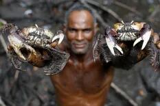 El cazador de cangrejos del río Caratingui, que lucha contra el cambio climático