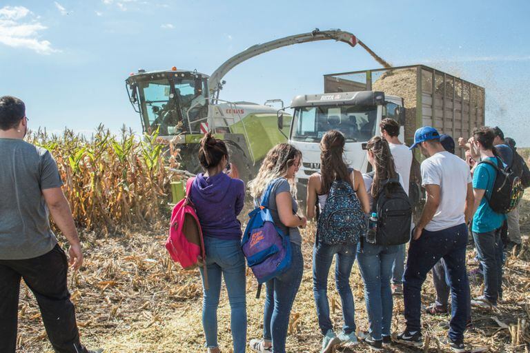Córdoba: por primera vez una facultad de agrarias tiene más mujeres que hombres