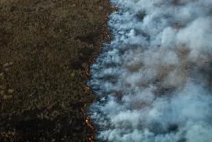 El fuego avanza en los humedales que rodean al Río Paraná en la provincia de Entre Ríos. 
Entre Ríos, agosto 2021