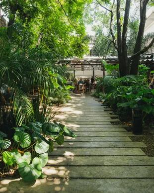El exuberante jardín de este espacio de Villa Crespo es uno de sus principales atractivos desde marzo de 2021. El paisajismo estuvo a cargo de Ignacio Montes de Oca.