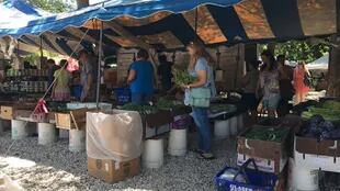 Mercado de agricultores de Coconut Grove
