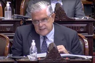 Ricardo López Murphy durante la sesión de la Cámara de Diputados