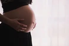 Sorpresa cuádruple: una mujer dio a luz a dos pares de gemelos en un año