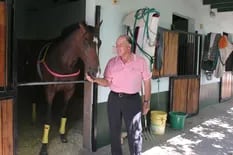 Volver a vivir: el caballo que ganó dos Pellegrini seguidos y pasó 10 años preso