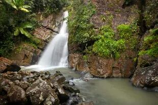 Cascada en El Yunque. El Bosque Nacional El Yunque es uno de los lugares más lluviosos del mundo. Es también un lugar turístico muy visitado, admirado y protegido por los ciudadanos de la isla. Posee varias cascadas  y una naturaleza tropical fascinante.