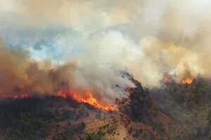 Las impactantes imágenes del incendio que afecta al Parque Nacional Los Alerces