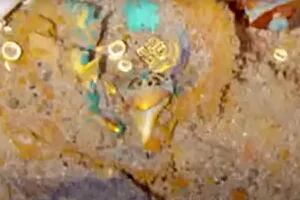 Descubren un "impresionante" collar de más de 100 años en las profundidades del naufragio