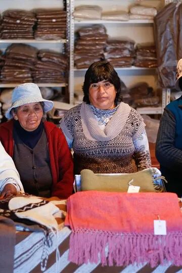 Las tejedoras artesanales de la Puna que se unieron para exportar lana de llama al mundo