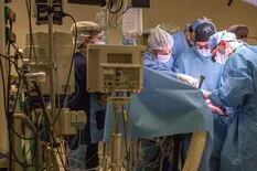 Cómo se hace un trasplante: 6 horas junto al equipo del Hospital Italiano