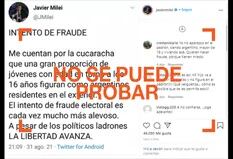 Elecciones 2021: por qué no tiene sustento la denuncia de presunto fraude de Javier Milei