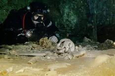 Hallan huesos de 2.5 millones de años en la cueva inundada más grande del mundo
