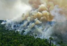 Nuevo récord de deforestación en la Amazonia brasileña en 12 años