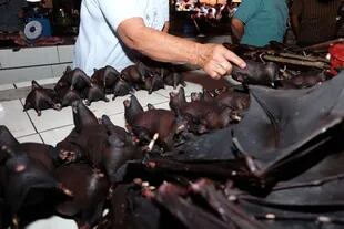 La venta de murciélagos quedó en la mira luego de la propagación del virus