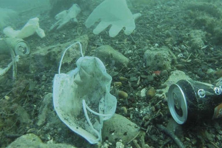 Plástico. Por qué ni la pandemia frenó la contaminación en los mares
