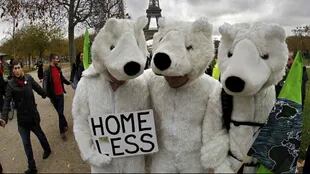 Osos polares de Greenpeace representan a los animales que se quedan sin hogar por el deshielo que ocurre en el ártico