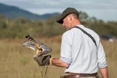 El francés que dejó los safaris africanos para hacer volar halcones