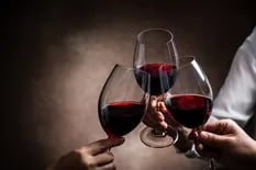 Cuál es el único vino argentino en Qatar 2022, donde será difícil consumir alcohol