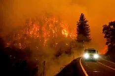Qué son los “rayos secos”, causantes de los más destructivos incendios forestales