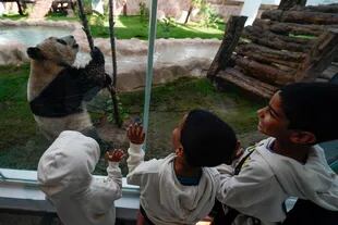 Los funcionarios a cargo de Panda House dicen que más de mil personas por día visitan el lugar, pero en un recorrido de dos horas no transitaron más de 15 personas