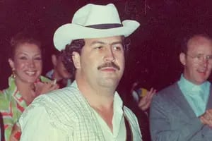 A 30 años de la muerte de Pablo Escobar: qué pasó con su “ejército” de hipopótamos