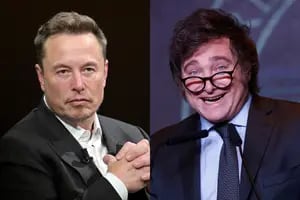 El curioso intercambio entre Javier Milei y Elon Musk en las redes sociales