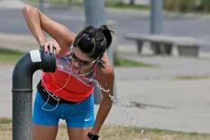 ¿Cuál es la mejor forma de hidratarse durante el entrenamiento?