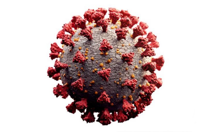 Al ser más pequeños que las bacterias, los virus permanecieron sin ser detectados por siglos.