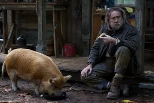 Nicolas Cage en Pig, pelicula escrita y dirigida por Michael Sarnoski
