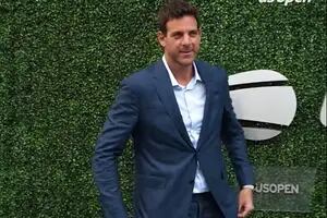 La difícil decisión que tomó Juan Martín del Potro sobre su futuro