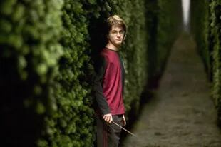 Harry Potter en el laberinto durante el torneo de los Tres Magos